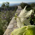 Holiday home Stonevillas And Seaview Garden Marion