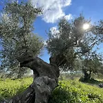 Stonevillas And Seaview Garden Marion Holiday home *