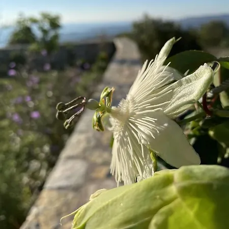 Casa vacanze Stonevillas And Seaview Garden Marion