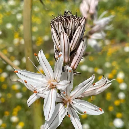 Stonevillas And Seaview Garden Marion Dom wakacyjny