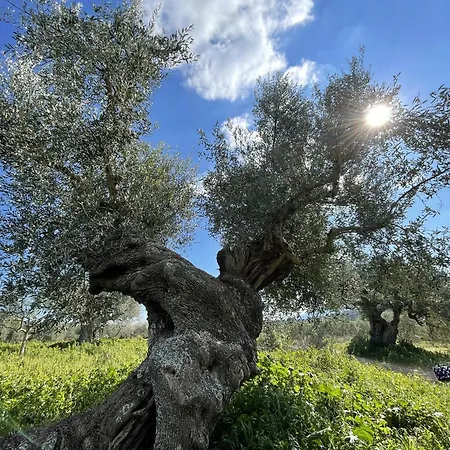 Stonevillas And Seaview Garden Marion Dom wakacyjny *