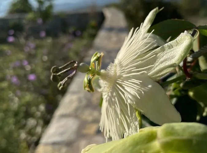 Ferienhaus Stonevillas And Seaview Garden Marion