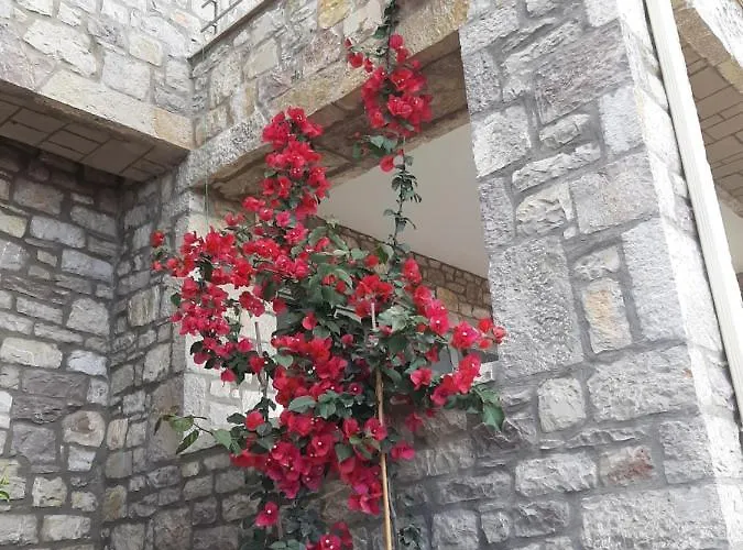 Vakantiehuis Stonevillas&seaview Garden Marion *