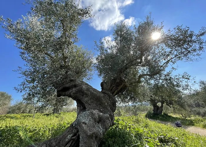 Stonevillas&seaview Garden Marion Vakantiehuis *